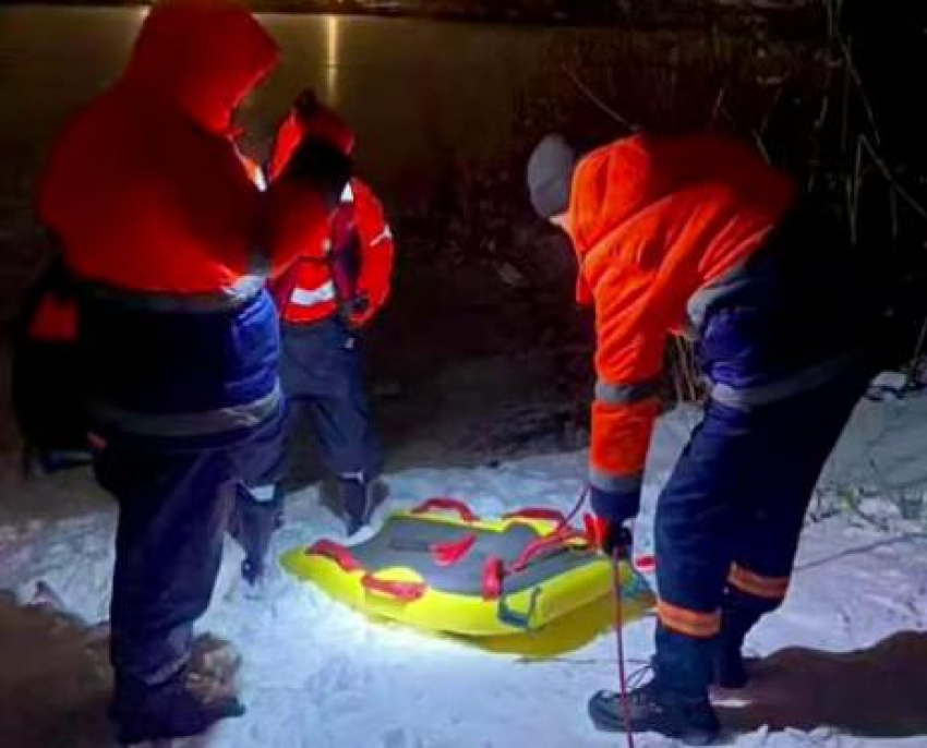 В Анапе спасли лебедя, попавшего в ледяной плен и рыболовные сети