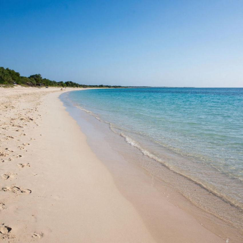 В Анапе и Крыму подвели итоги недели борьбы с мазутом
