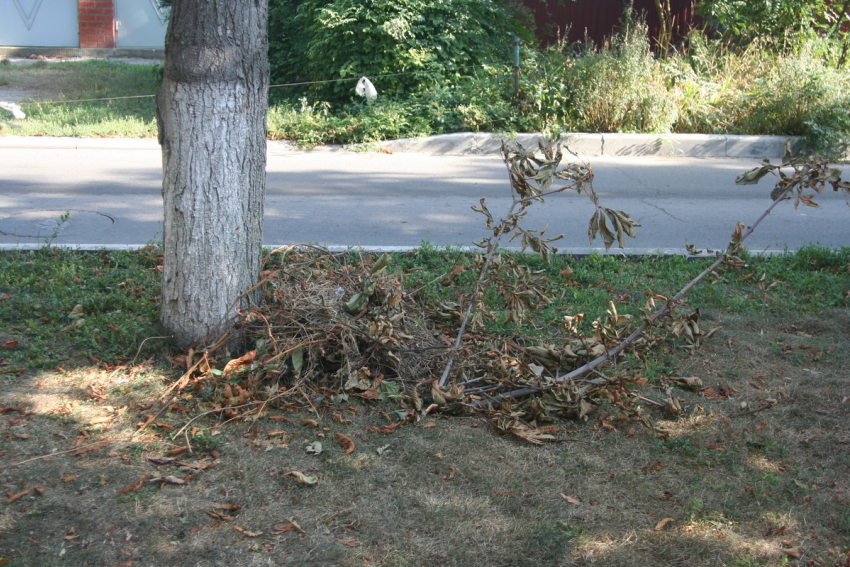Сегодня, 23 октября, в Анапе температура воздуха перевалит за 20 градусов