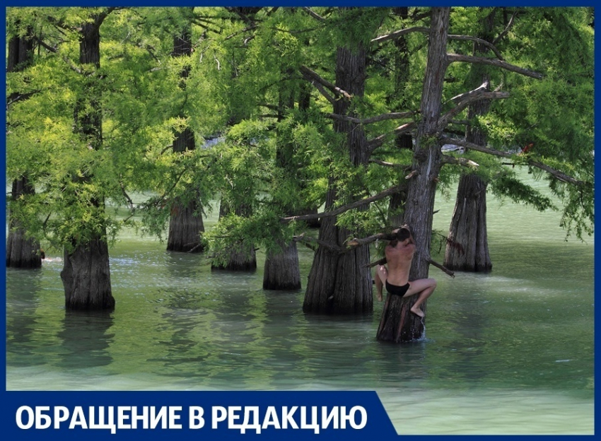 Вандалы портят кипарисы на озере в Сукко под Анапой
