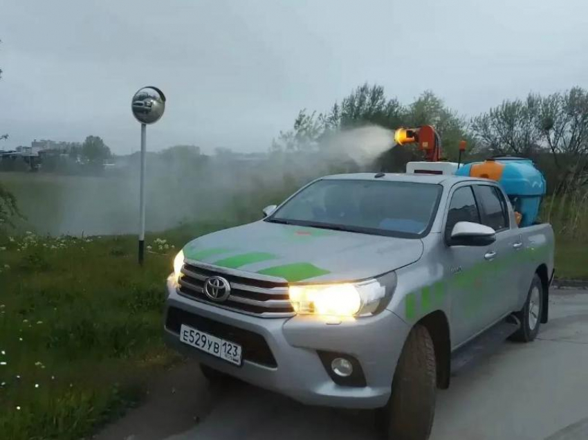 В Анапе до конца сентября будут обрабатывать территории от комаров, клещей и других вредных насекомых