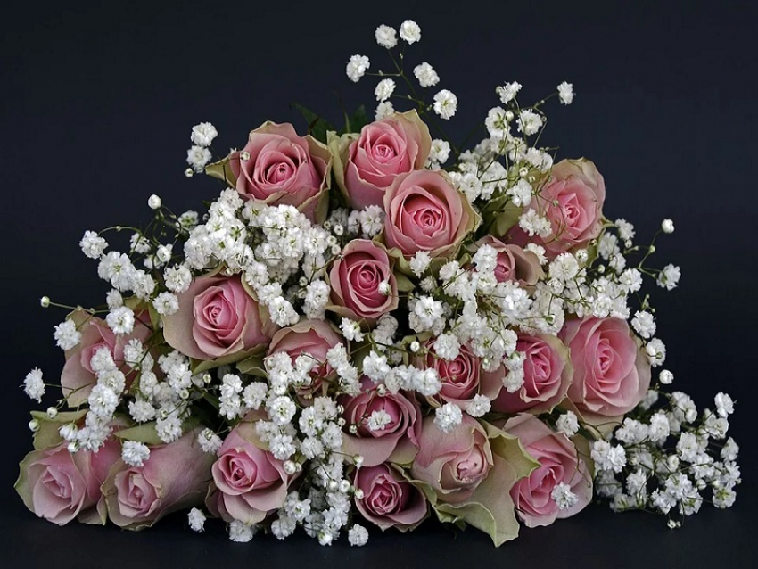 Мэрия Анапы закупает цветы на 102 тысячи рублей