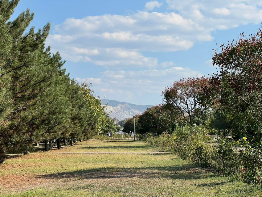 В день ласкового обращения в Анапе сохранится тепло