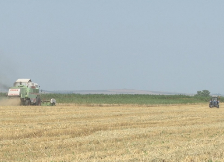 В районе Джигинки под Анапой выявили незаконный захват земли