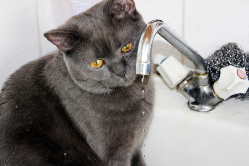 19 марта в Витязево под Анапой отключат воду