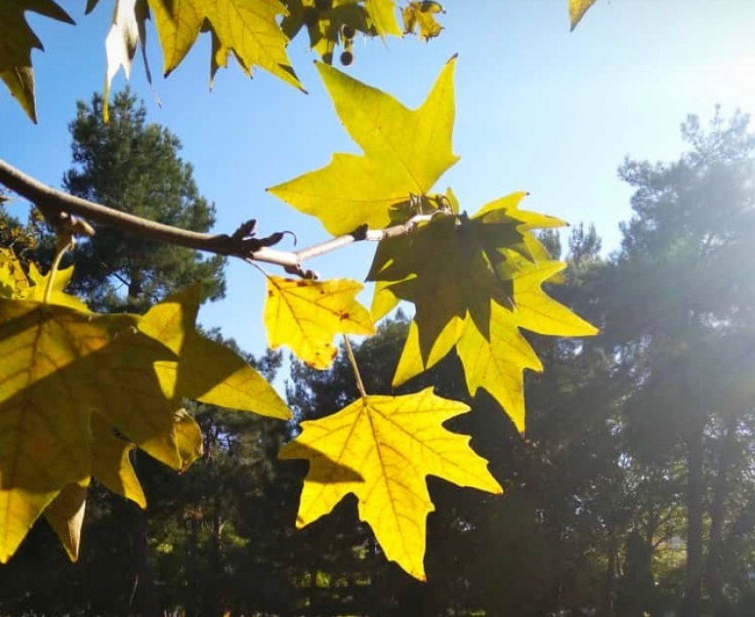 Похоже, лето не спешит уходить: анапчан ждёт тёплый вторник