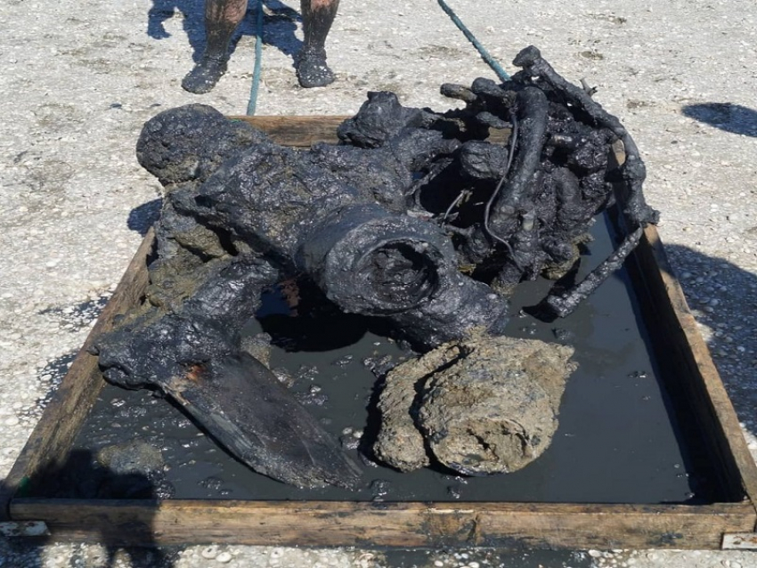 Со дна моря в Анапе подняли фрагменты самолета «У-2»