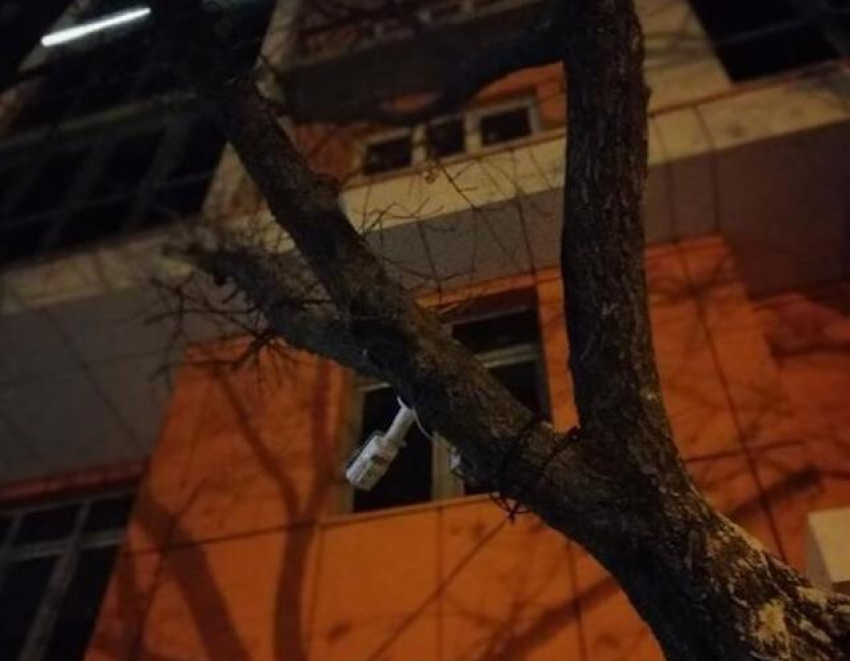 В Анапе уличные видеокамеры висят прямо на деревьях