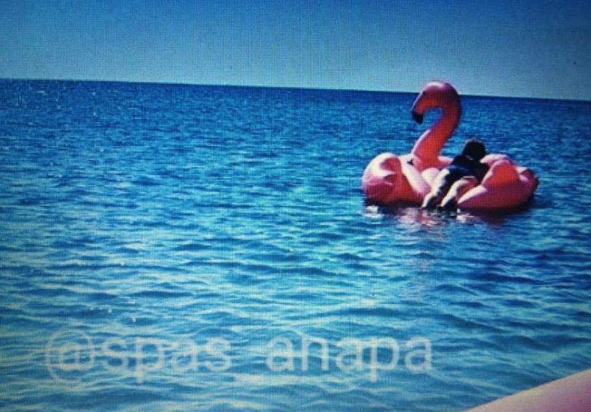 Сегодня недалеко от Анапы спасателям пришлось гнаться в море за фламинго, спасая его