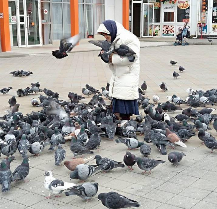 Фотофакт: бабушка «в голубях» на Театральной площади в Анапе