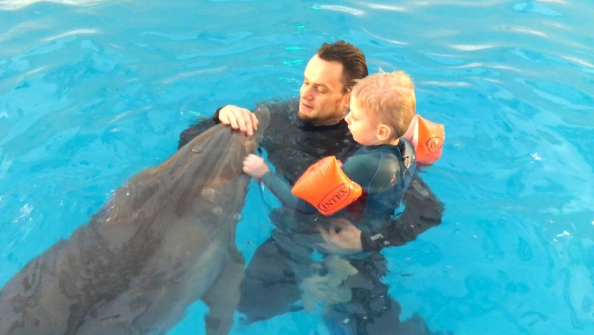 Пятилетний мальчик впервые в жизни поцеловал маму после общения с анапскими дельфинами