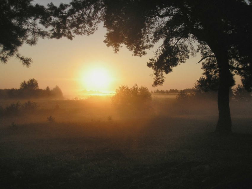 В среду, 8 ноября, анапчан ожидает небольшой утренний туман