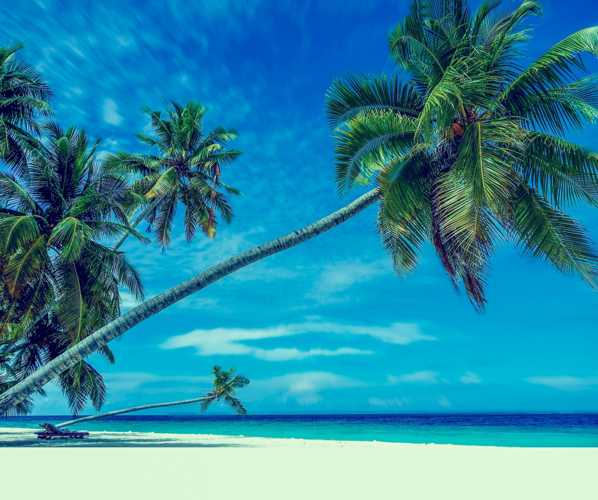 Гороскоп для анапчан с 23 по 29 декабря: Близнецам стоит отдохнуть