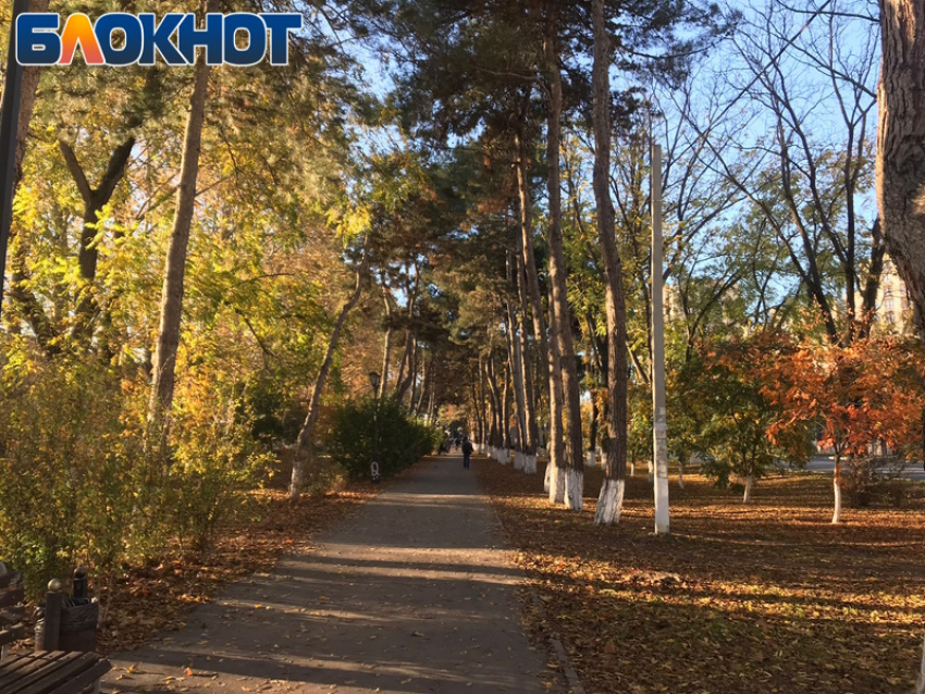 В День рисования на запотевшем стекле в Анапе будет солнечно