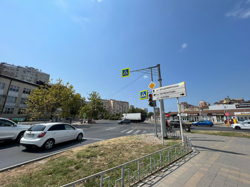 В День выгула черепахи в Анапу вернётся сильная жара