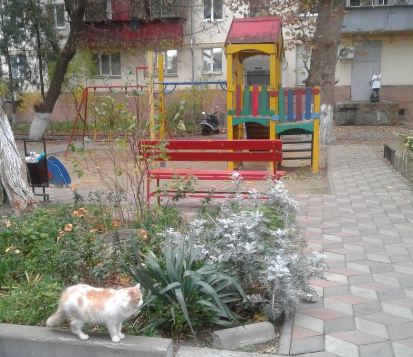 На улицах Некрасова и Толстого в Анапе необходимо благоустройство детских площадок