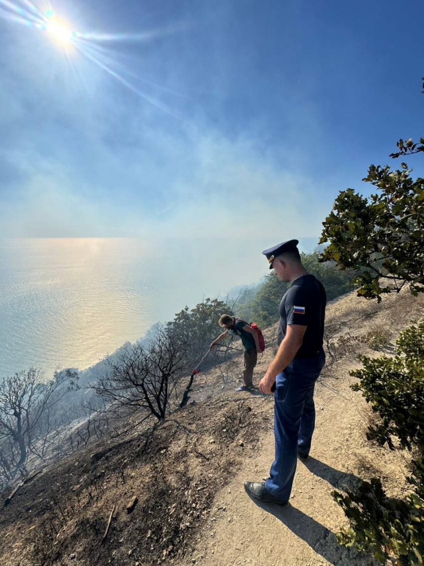 Прокуратура заинтересовалась крупным лесным пожаром в Анапе