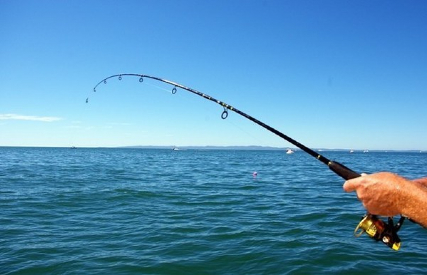 В Анапе обычная рыбалка может обернуться смертью: знаете, почему?