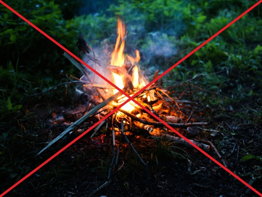В Анапе запретили разводить костры и выжигать мусор 