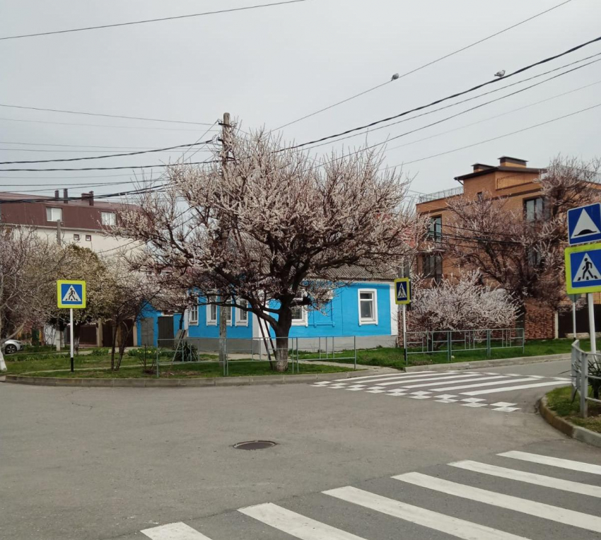Праздник куража будет в Анапе дождливым и пасмурным
