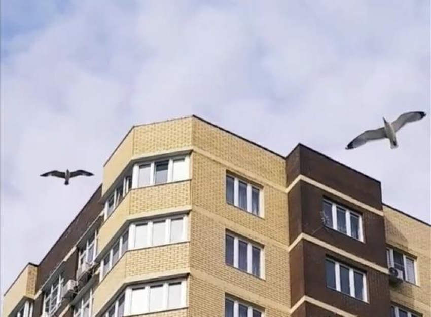 Почему Алексеевка в Анапе получила такое название