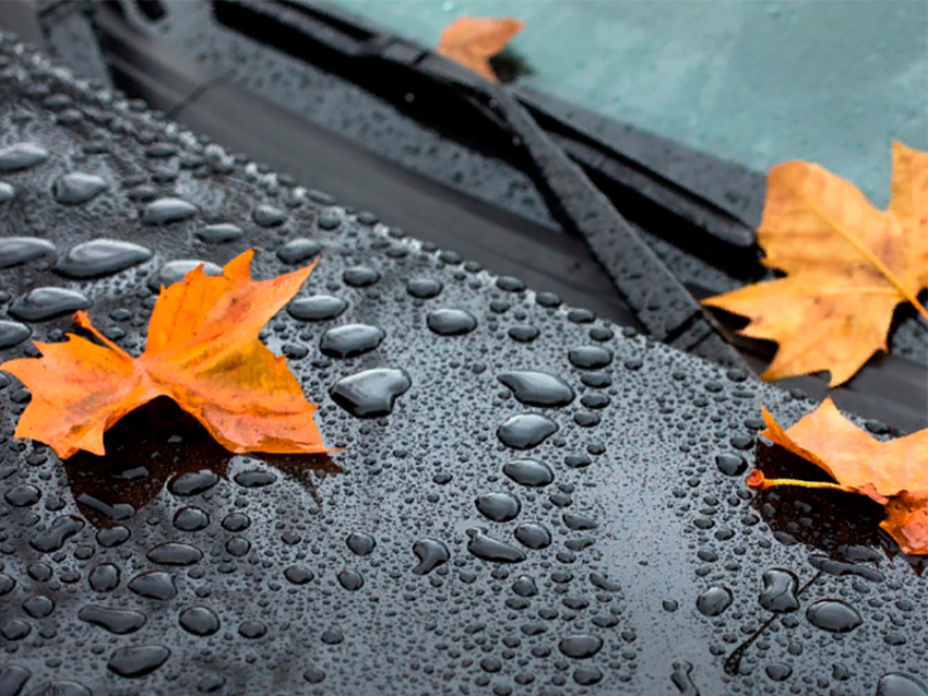 25 декабря в Анапе снова дождь