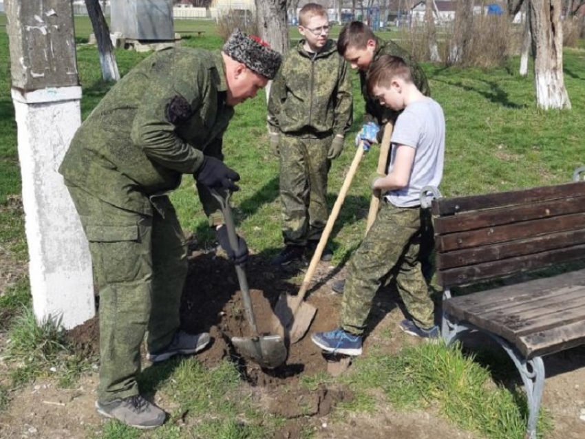 Акция «Сад памяти» в Гостагаевской под Анапой собрала более 80 человек