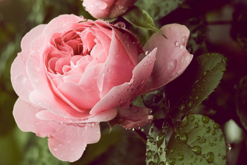 Сегодня в Анапе синоптики прогнозируют небольшой дождь