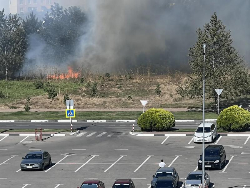 В Анапе горит поле за «Красной площадью»: густой дым затянул город