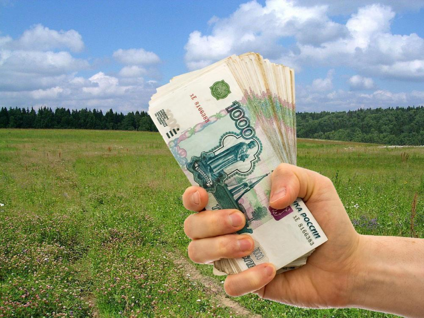 Доходы Анапы от аренды земли за три недели выросли до 30 миллионов рублей