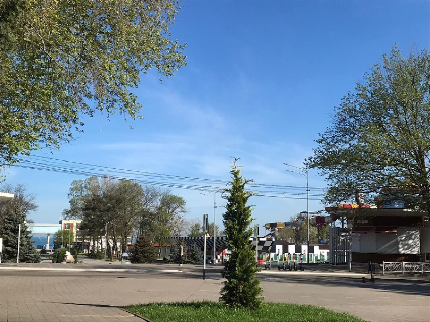 В День любви к деревьям в Анапе в основном солнечно