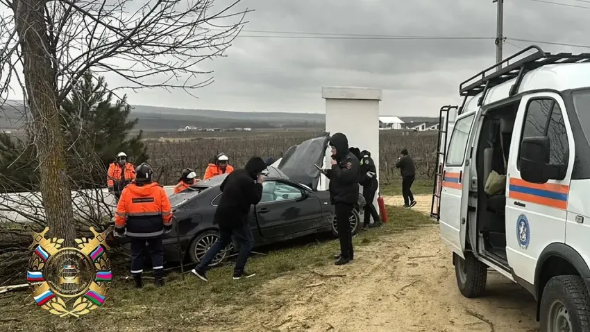 Под Анапой водитель погиб после столкновения с деревом