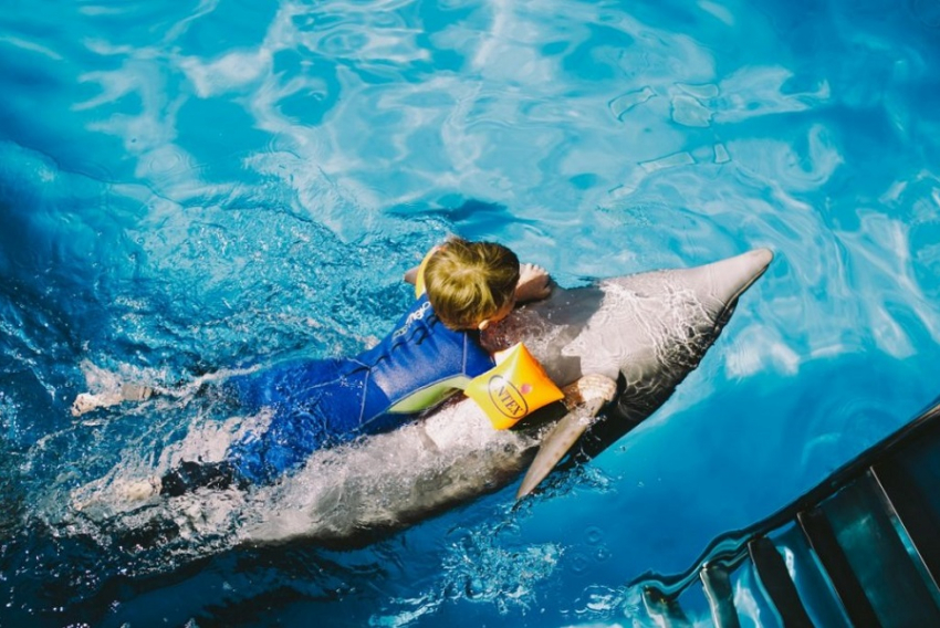 В Анапе дельфинотерапию проходят дети-инвалиды
