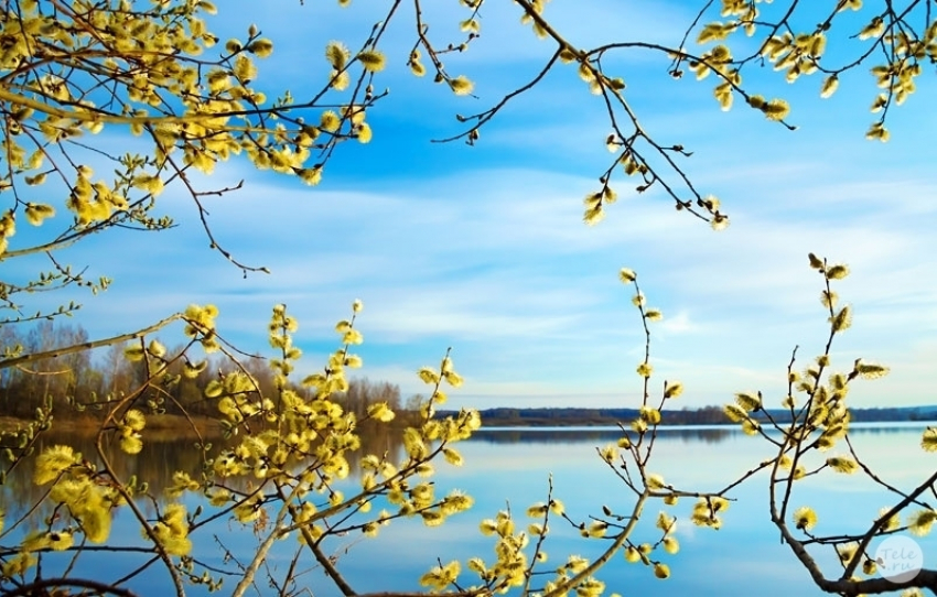 Сегодня в Анапе тепло, до +8