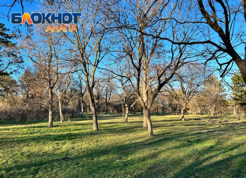 В Вepбнoe Вocкpeceньe в Анапе будет тепло и безоблачно