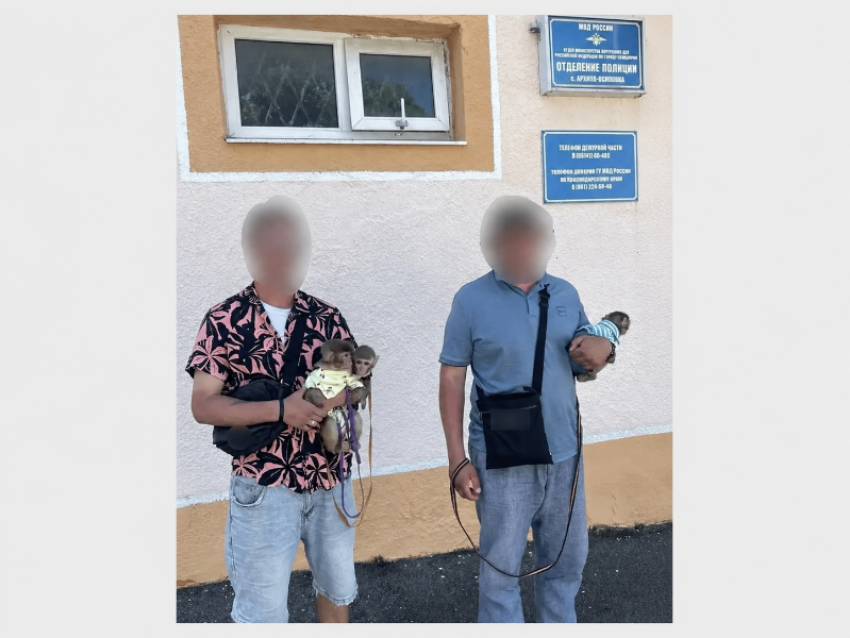 В Геленджике у пляжных фотографов забрали обезьянок: мужчин проверяют по статье о жестоком обращении с животными