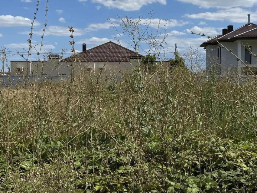 Земля без присмотра: в Анапе владельцы 400 участков получили предупреждения, более 250 уже оштрафованы