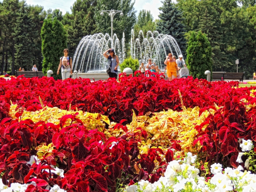 Что изменилось за последний год в Анапе