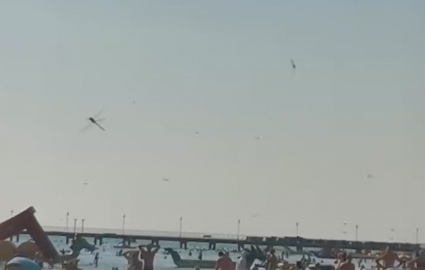 На пляжах в Анапе отмечается нашествие стрекоз. Это вред или польза?