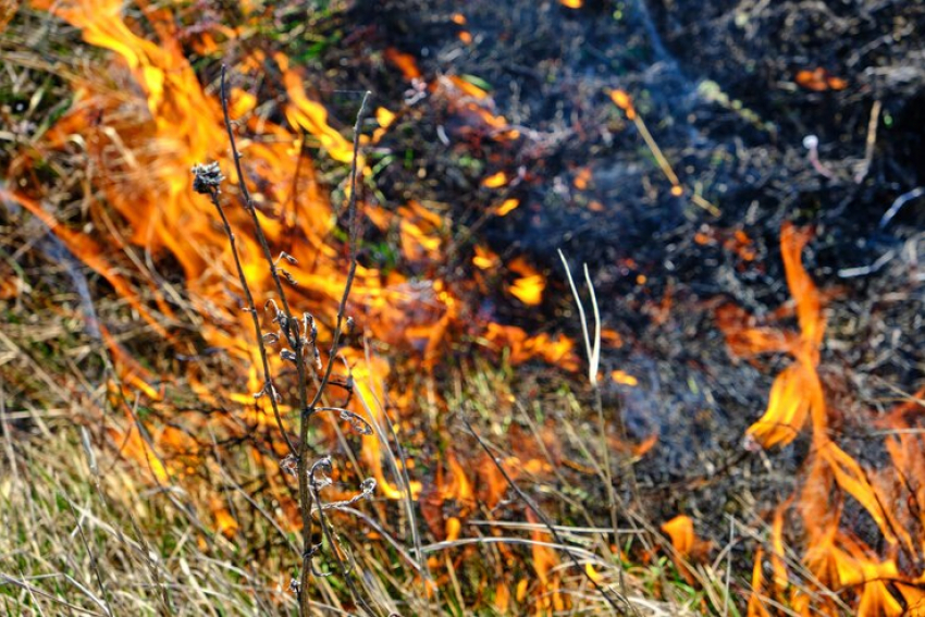 Внимание – опасно: в Анапе действует режим высокой пожароопасности