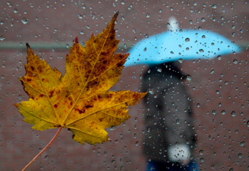 В четверг, 15 ноября, в Анапе целый день будет идти дождь