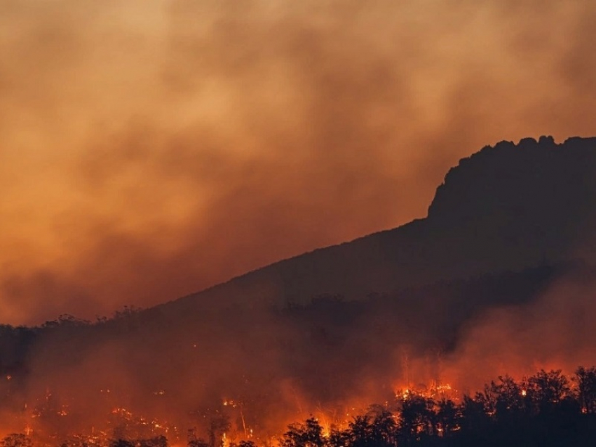 В Анапе, как и в целом по краю, с 4 по 6 августа – чрезвычайная пожароопасность