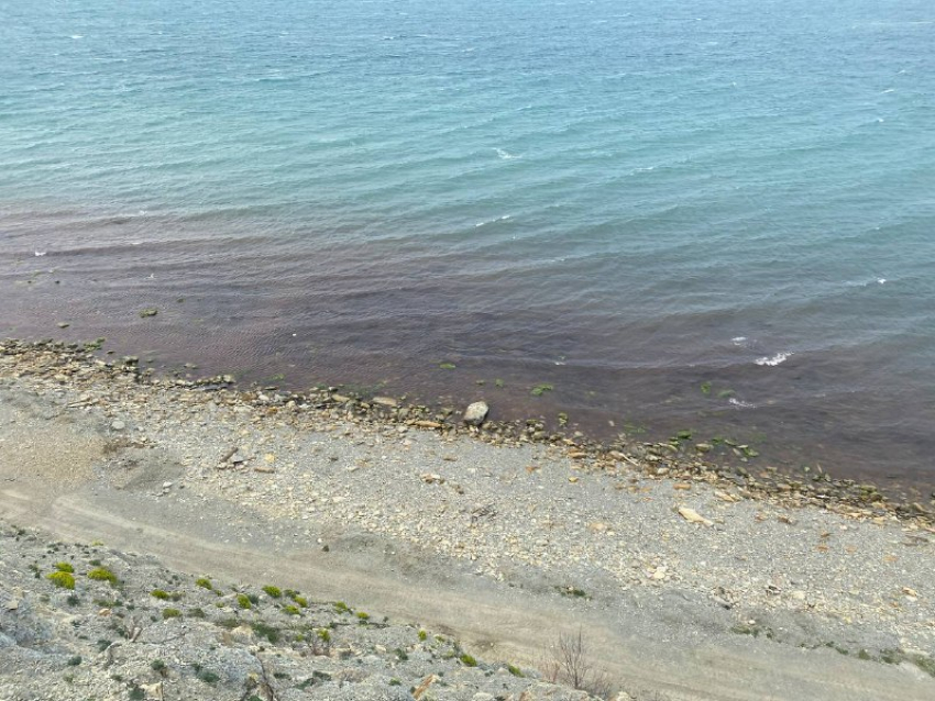 Море в Анапе стало красным: необычное явление заметили очевидцы
