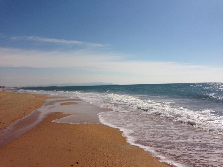 На Утрише мужчина завис на большой высоте, а в Анапе в море тонул человек