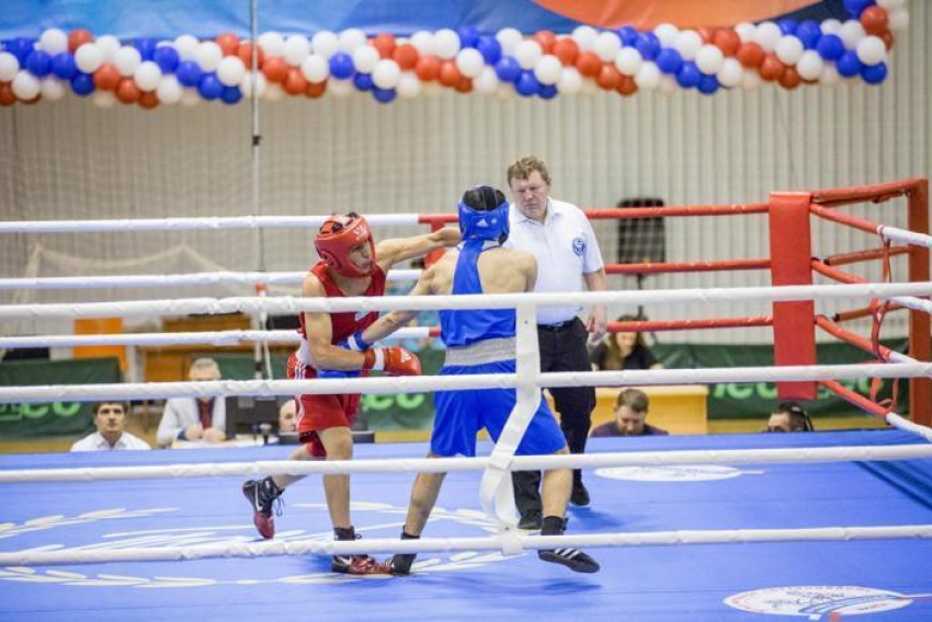 В Анапе стартовал международный турнир по боксу: здесь пройдут бои будущих чемпионов мира