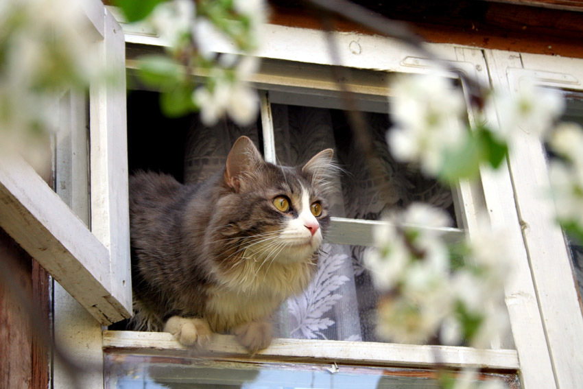 В понедельник в Анапе тепло, до +16