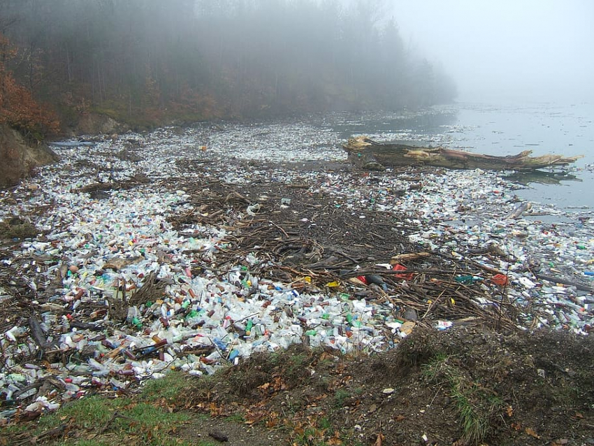 В Краснодарском крае вступили в силу новые правила обращения с мусором