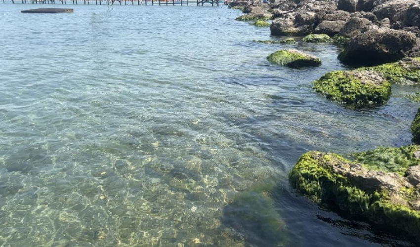 Сказочно манящая: даже на Центральном пляже Анапы чистая вода