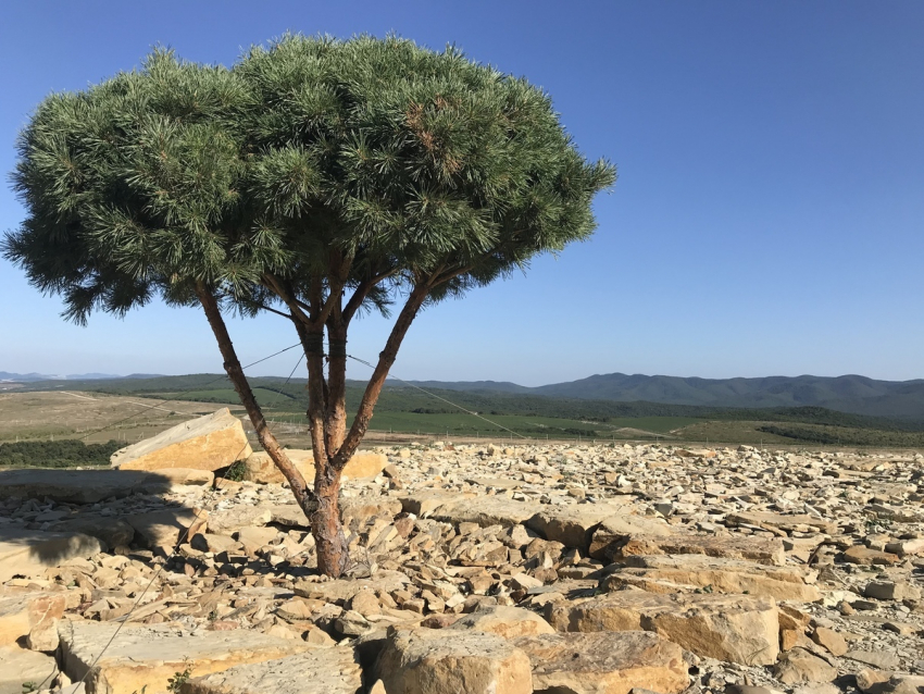 В воскресенье в Анапе снова господствует жара