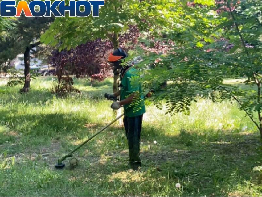 После публикации в «Блокнот Анапа» в сквере Гудовича косят траву